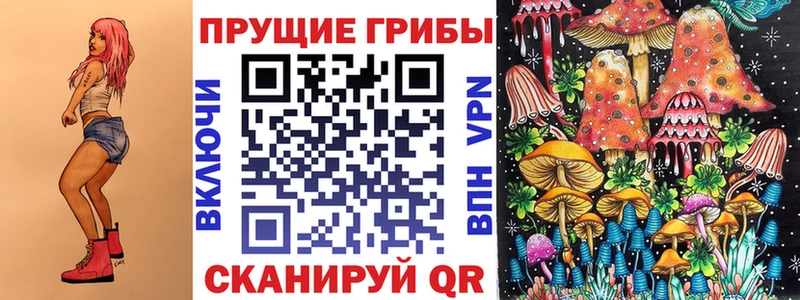 Псилоцибиновые грибы Psilocybine cubensis  Купить где  Куйбышев 